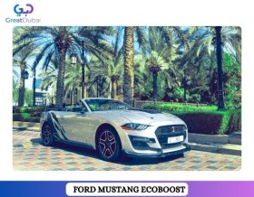Rent Silver Ford Mustang EcoBoost Convertible V4