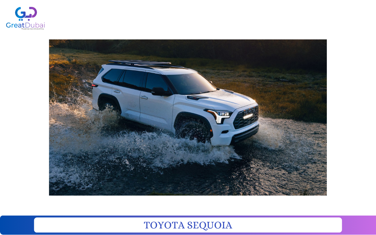 TOYOTA SEQUOIA-pic_1