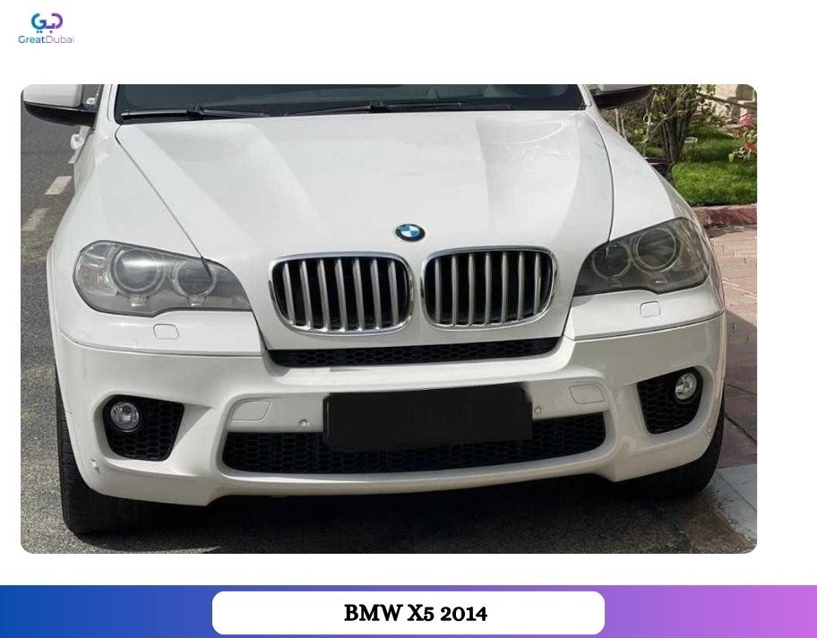 BMW X5 2014 Rental-image