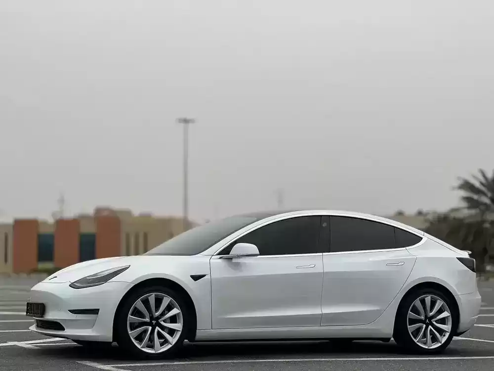 TESLA MODEL 3-pic_2