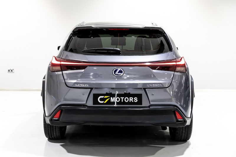 Lexus UX-Series UX 250-pic_1