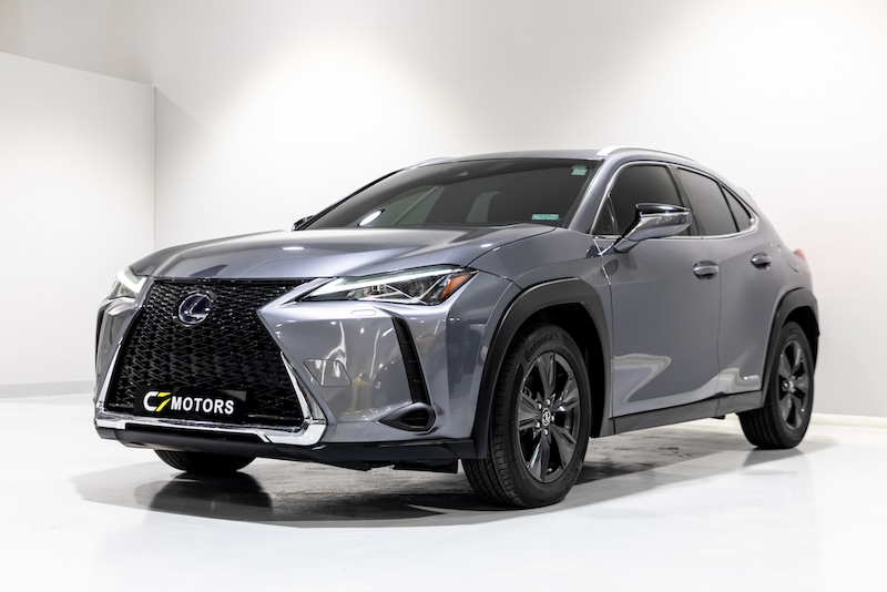 Lexus UX-Series UX 250-pic_3