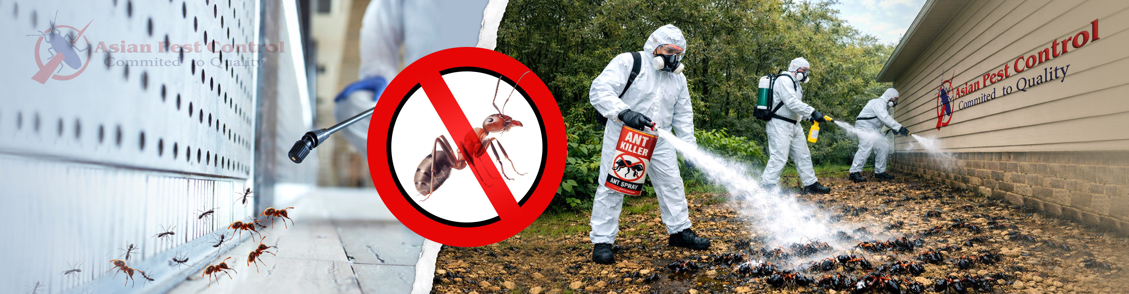 # Pest Control – Quality & Approved-pic_1